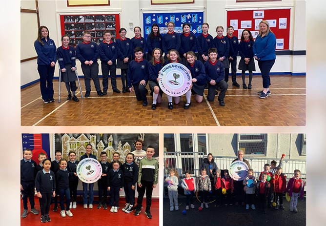 School Wellbeing Fund